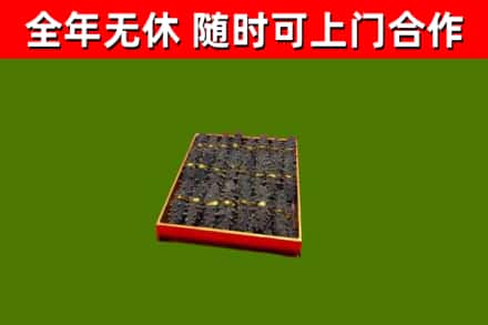 汝南县回收海参